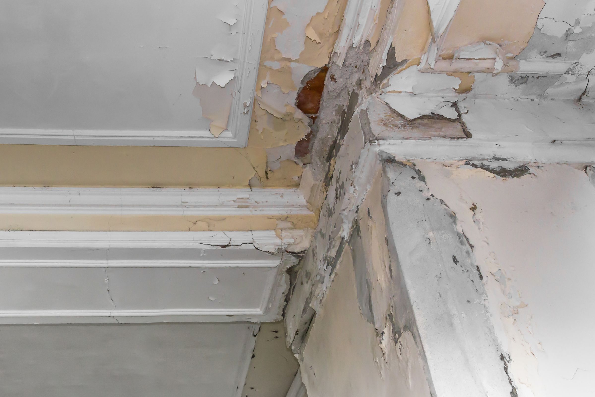 An attic featuring peeling paint and walls, emphasizing the importance of mold removal services in Miami, FL.