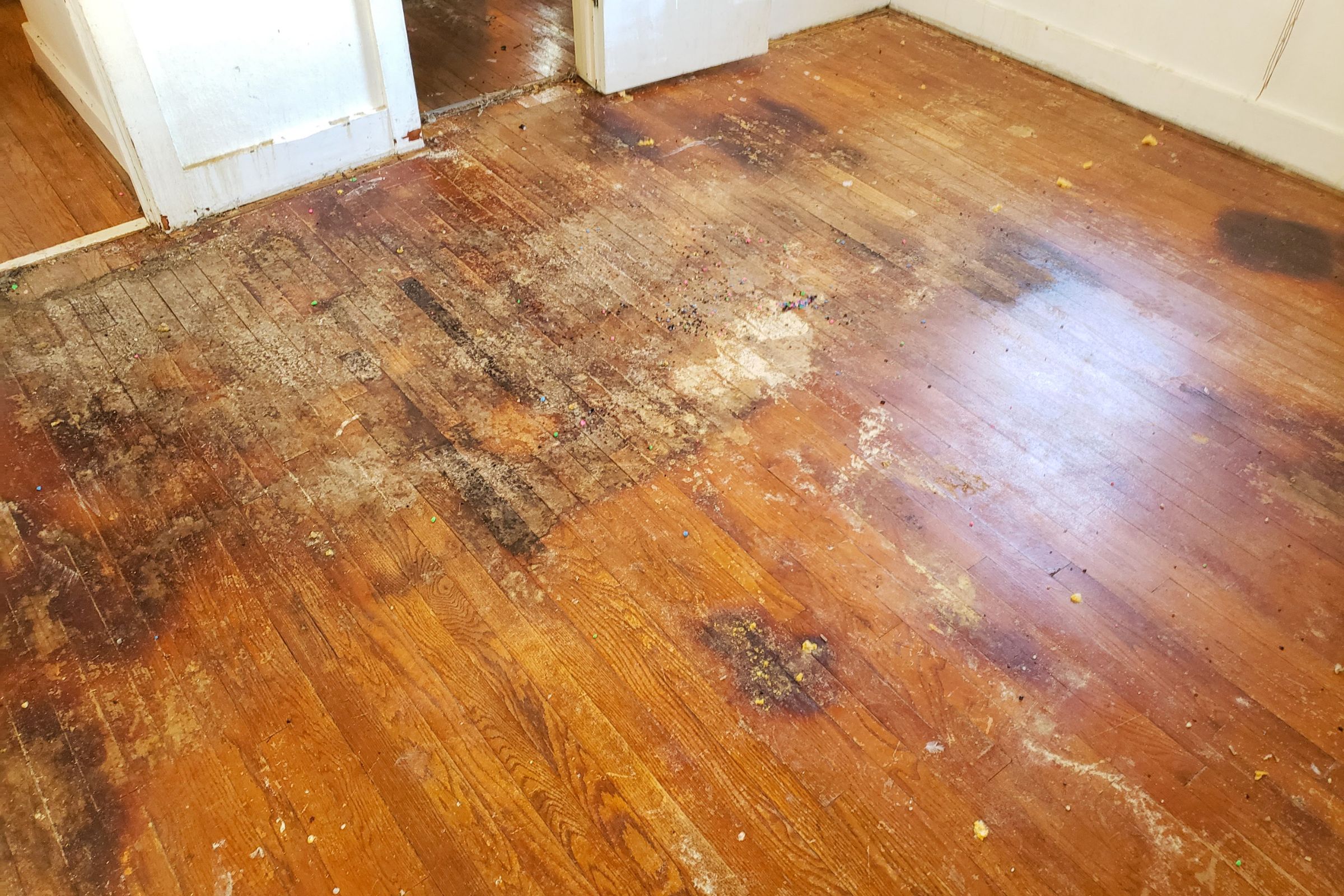A stained wood floor and a white door, emphasizing the importance of wood mold removal in Miami, FL.